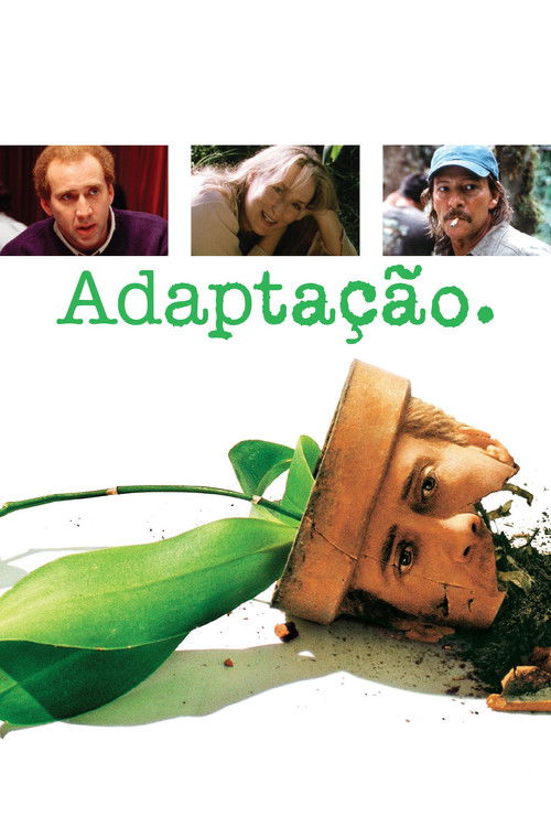 Adaptação. (2002)