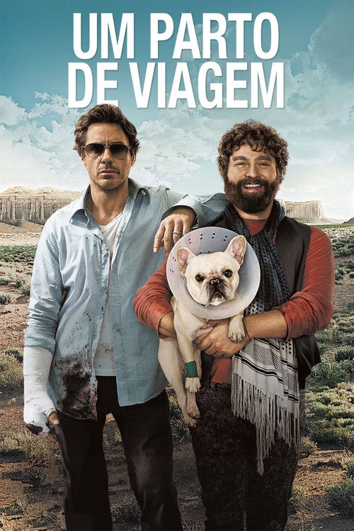 Um Parto de Viagem (2010)