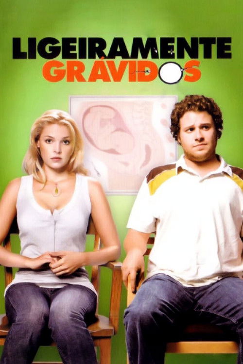 Ligeiramente Grávidos (2007)