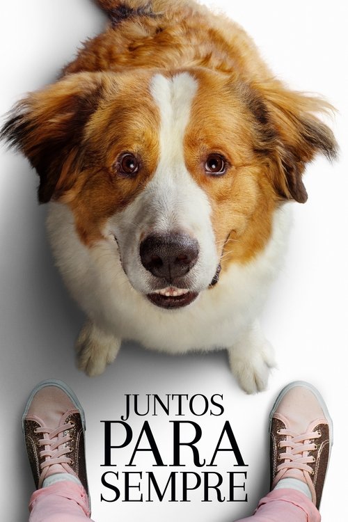 Juntos para Sempre (2019)
