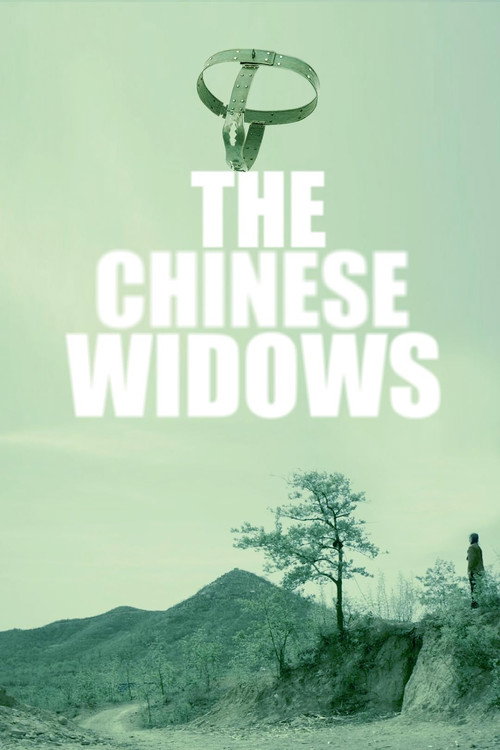 中国式寡妇 (2018)