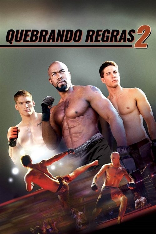 Quebrando Regras 2 (2011)