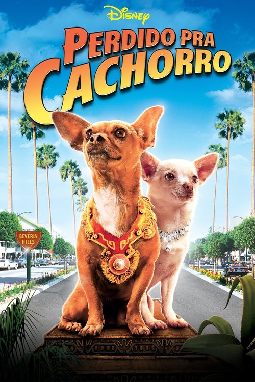 Perdido pra Cachorro (2008)