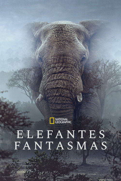 Elefantes Fantasmas (2026)