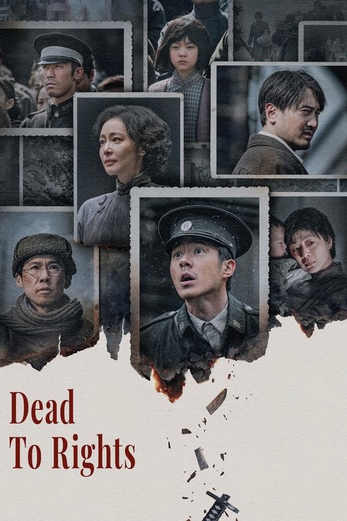 Nanjing: Luz na Escuridão (2025)