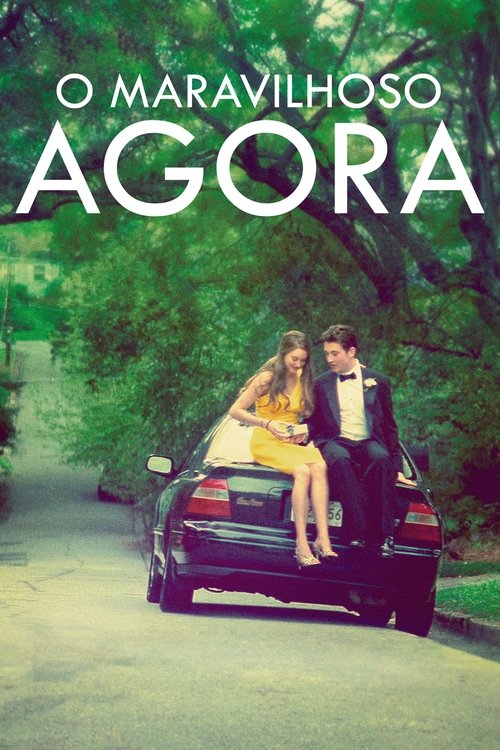 O Maravilhoso Agora (2013)