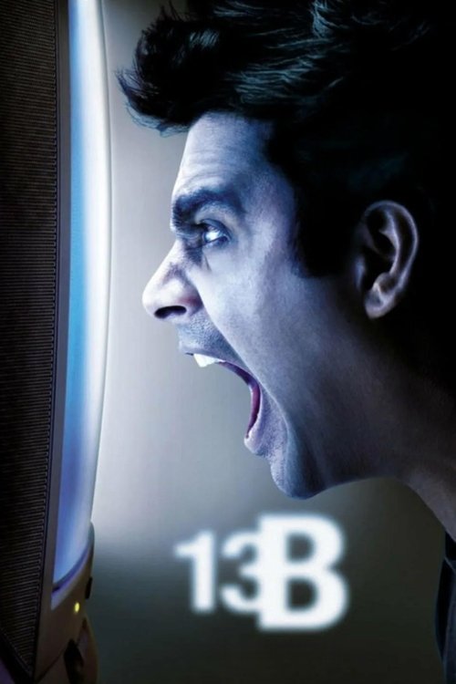 13B (2009)