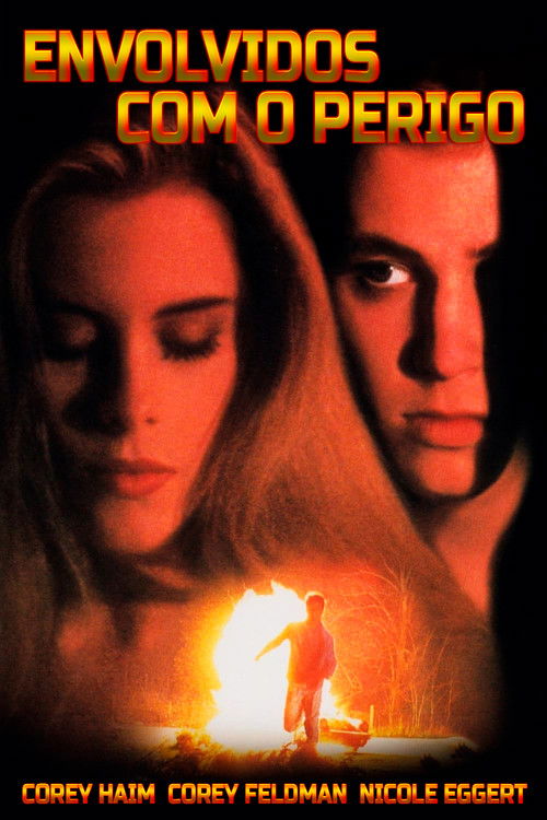Envolvidos com o Perigo (1993)