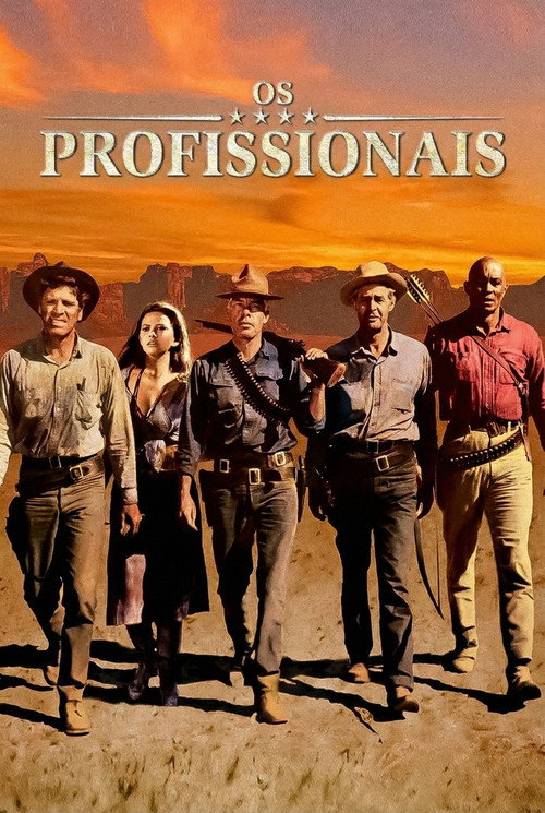 Os Profissionais (1966)