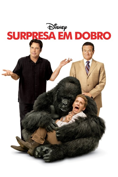 Surpresa em Dobro (2009)
