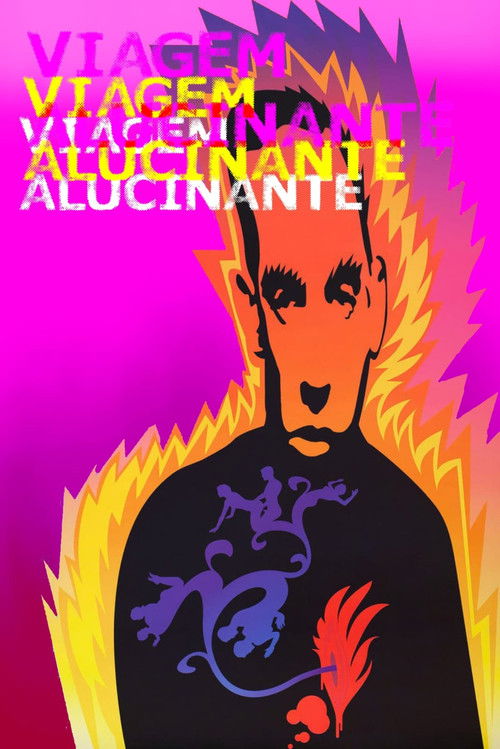 Viagem Alucinante (2010)