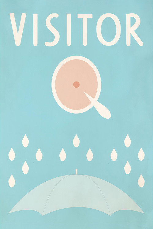 Visitor Q (2001)