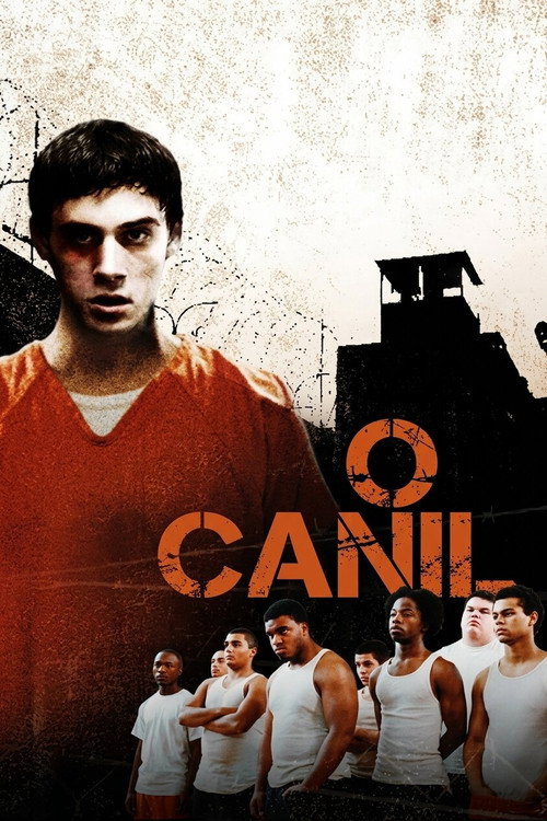 O Canil (2010)