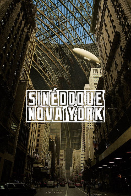 Sinédoque, Nova York (2008)