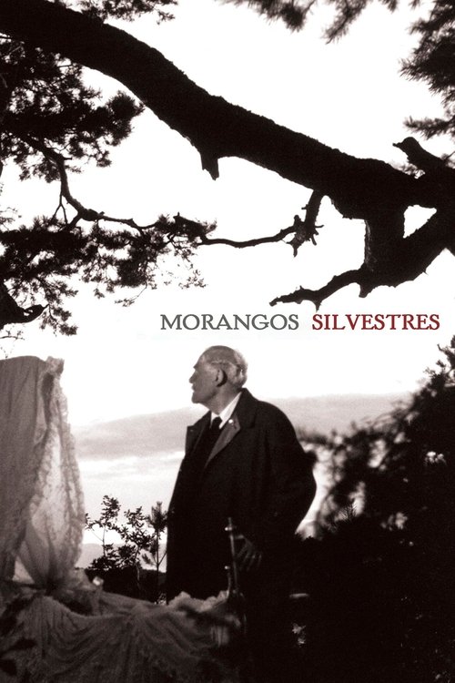 Morangos Silvestres (1957)