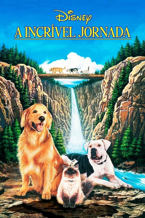 A Incrível Jornada (1993)