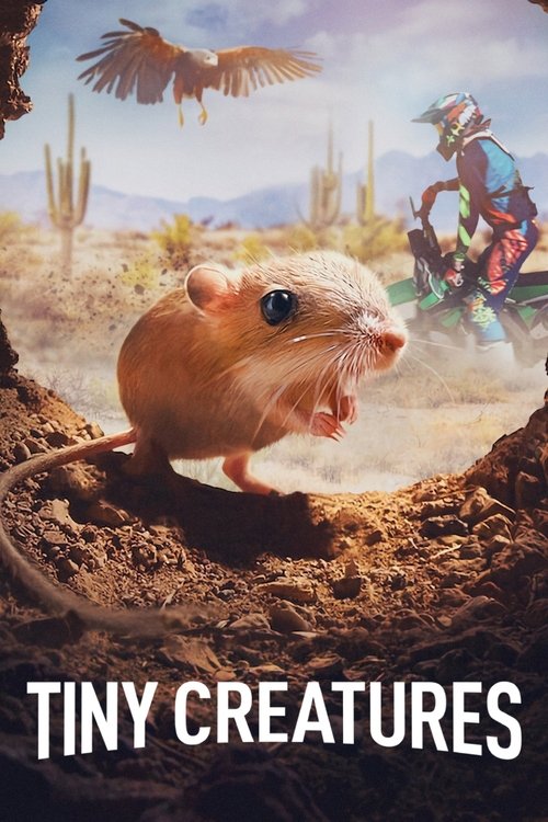 Natureza Discreta (2020)