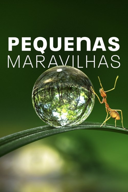 Pequenas Maravilhas (2020)