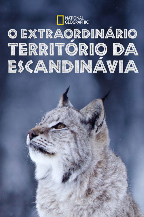 O Extraordinário Território da Escandinávia (2019)