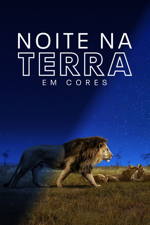 Noite na Terra em Cores (2020)