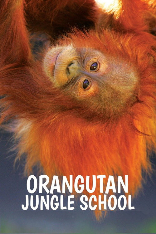 Escola de Orangotangos (2018)