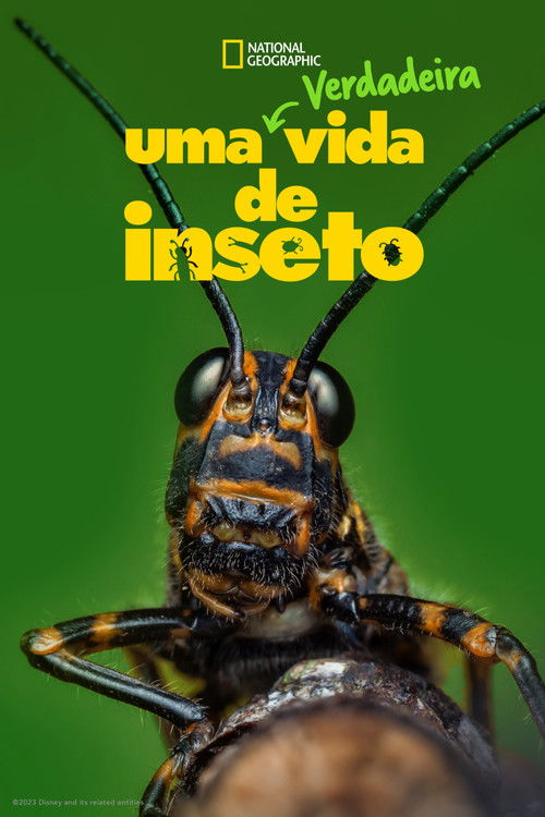 Uma Verdadeira Vida de Inseto (2024)