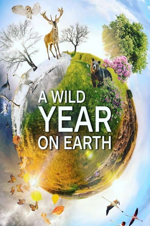 Um Ano Selvagem na Terra (2020)