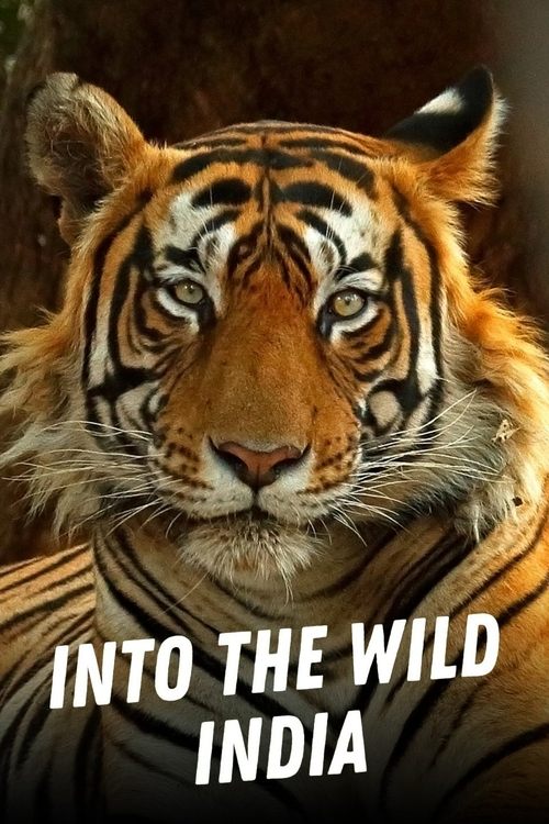Into the Wild: India (2020)