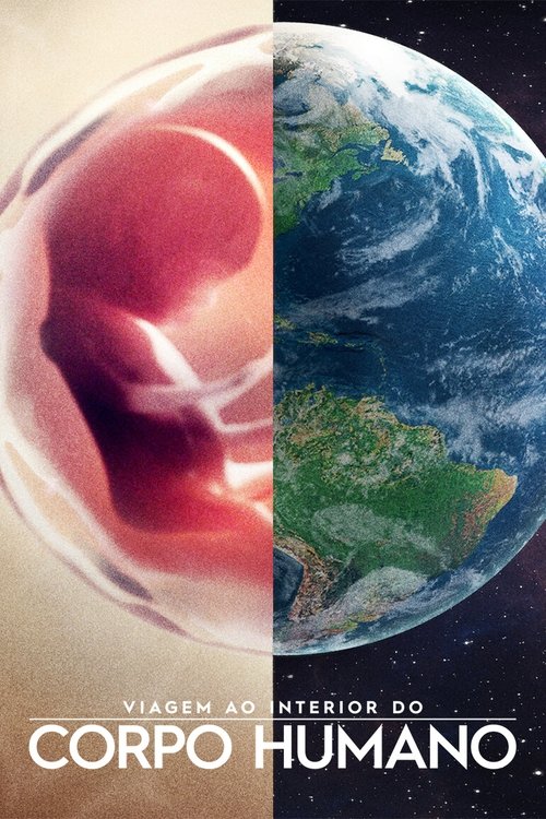 Corpo Humano: Nosso Mundo Interior (2021)