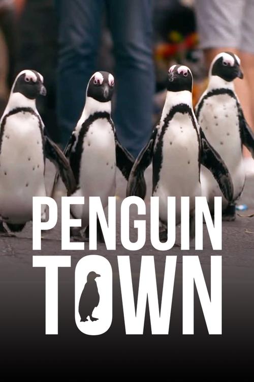Cidade dos Pinguins (2021)