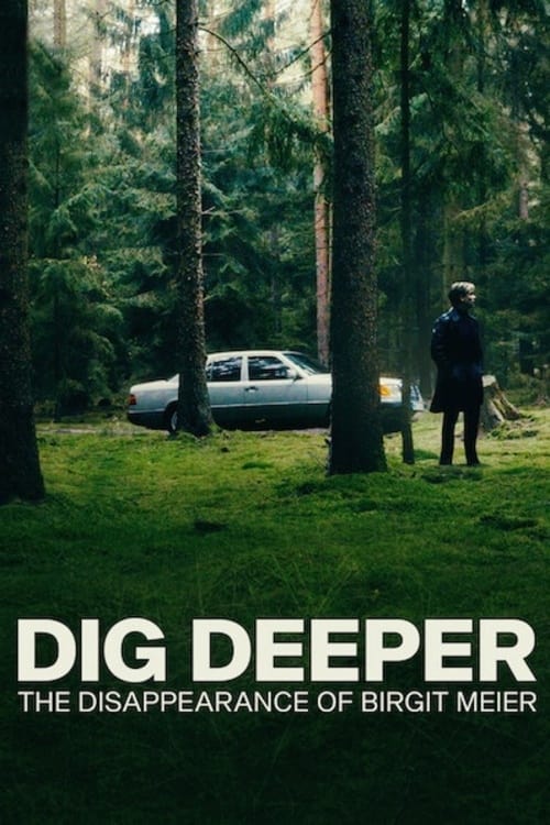 O Desaparecimento de Birgit Meier (2021)