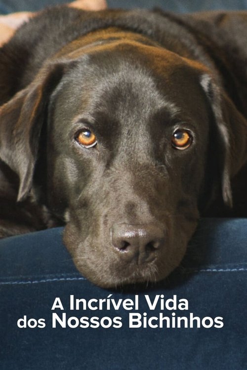 A Incrível Vida dos Nossos Bichinhos (2022)