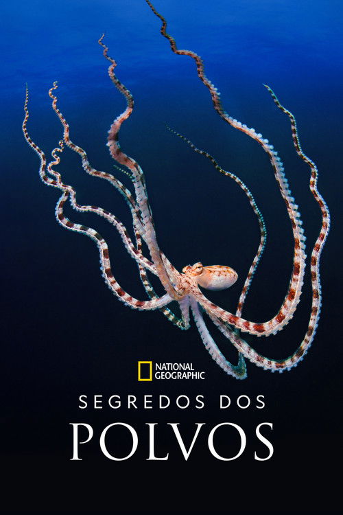 Segredos dos Polvos (2024)