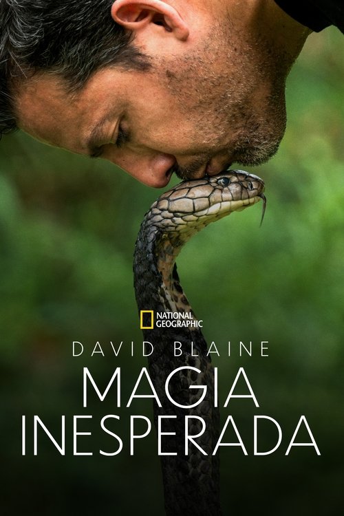 David Blaine: Magia Inesperada (2025)