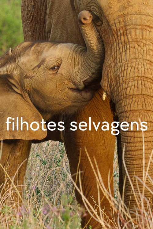 Filhotes Selvagens (2022)