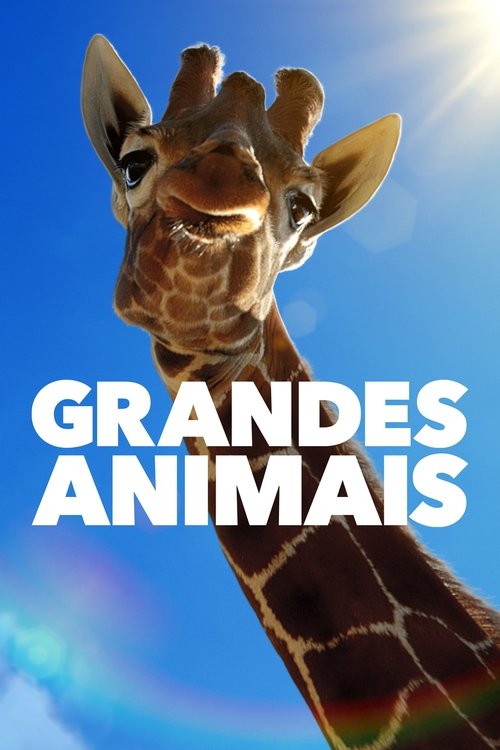 Grandes Animais (2023)