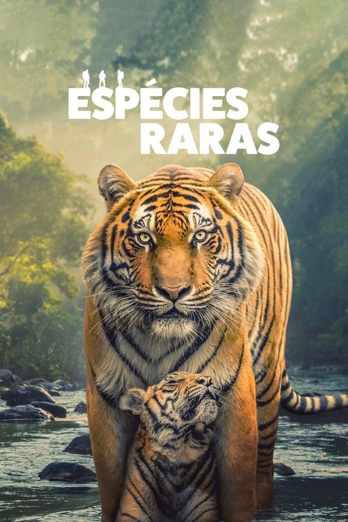 Espécies Raras (2025)