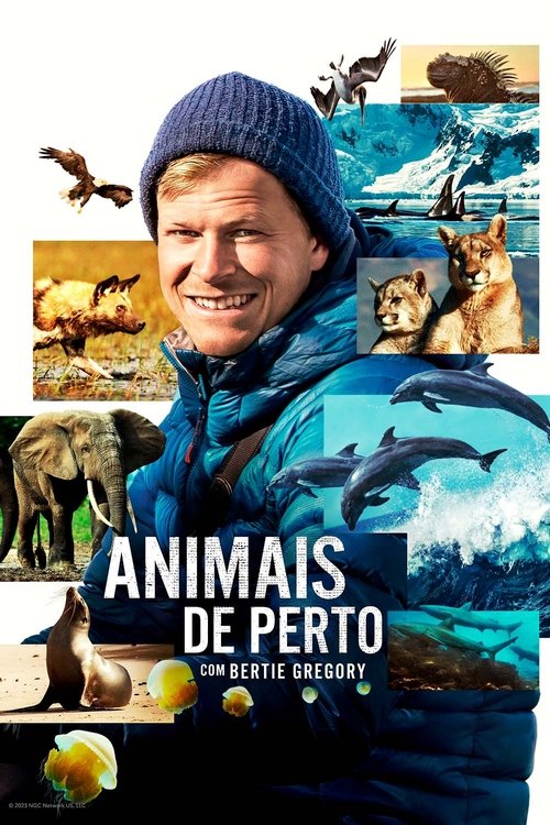 Animais de Perto com Bertie Gregory (2023)