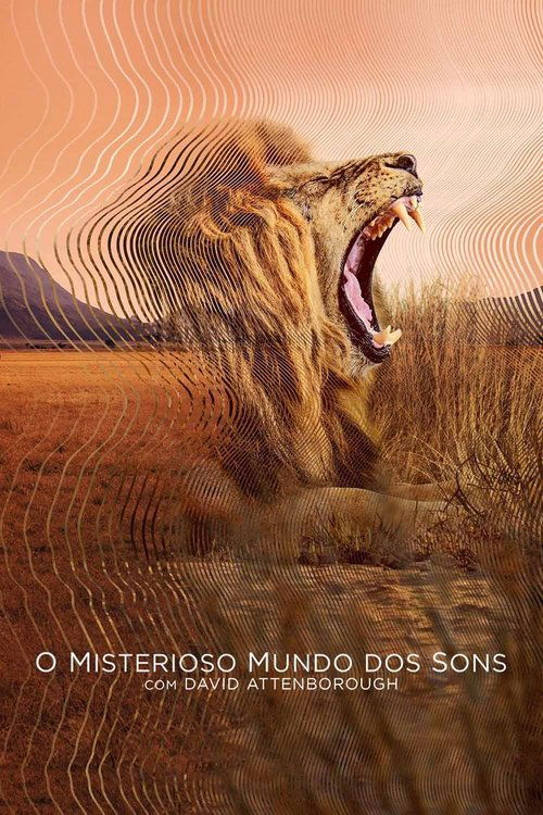 O Misterioso Mundo dos Sons (2024)