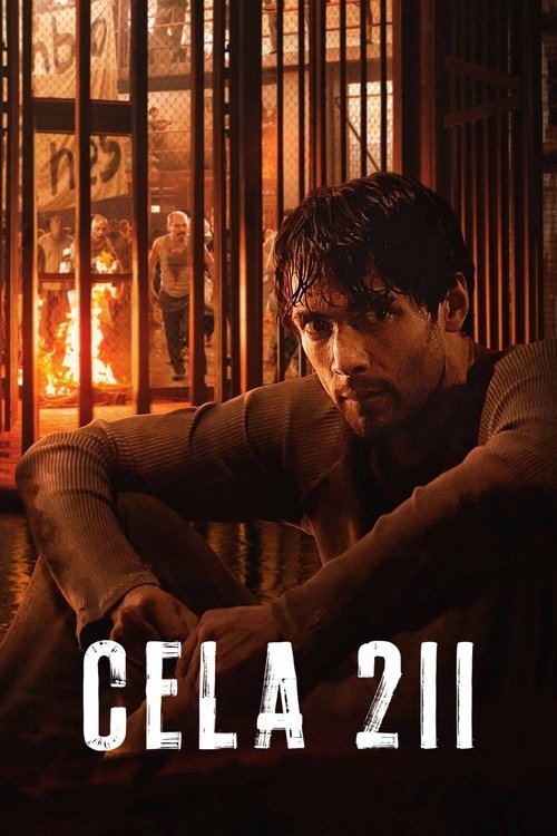 Cela 211 (2025)