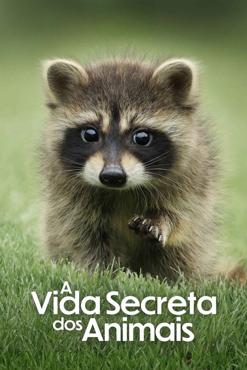 A Vida Secreta dos Animais (2024)