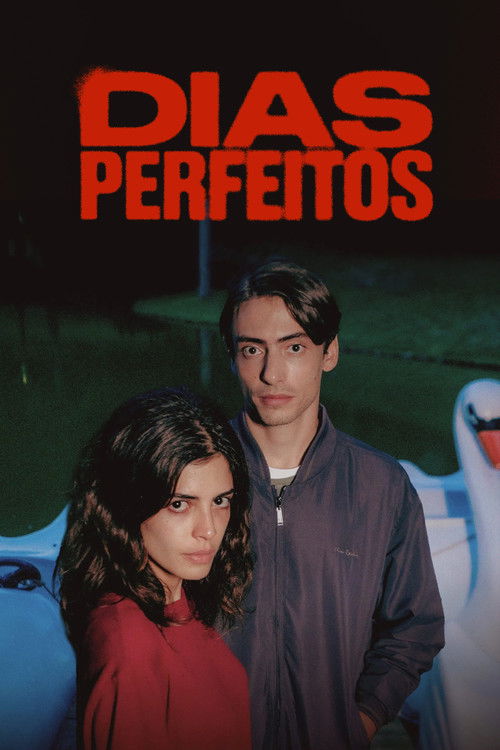 Dias Perfeitos (2025)