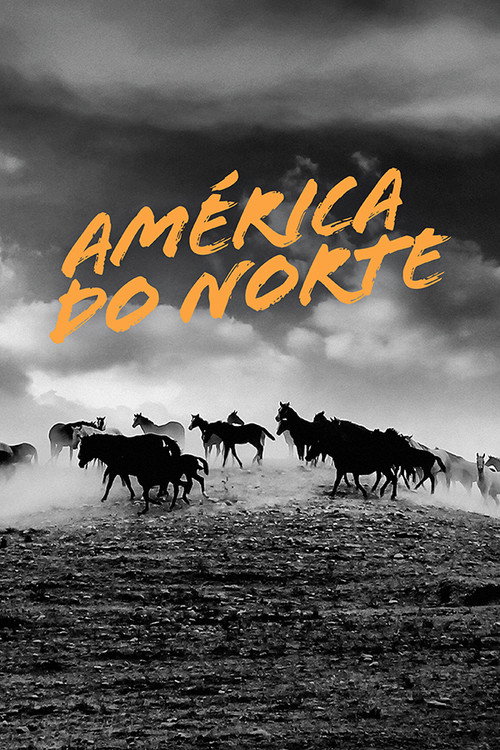 América do Norte (2013)