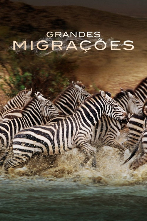 Grandes Migrações (2010)