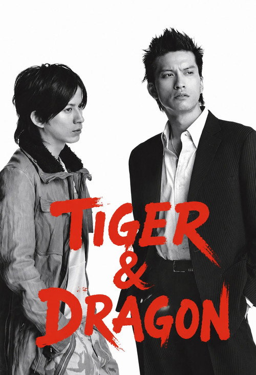 Tigre e Dragão (2005)