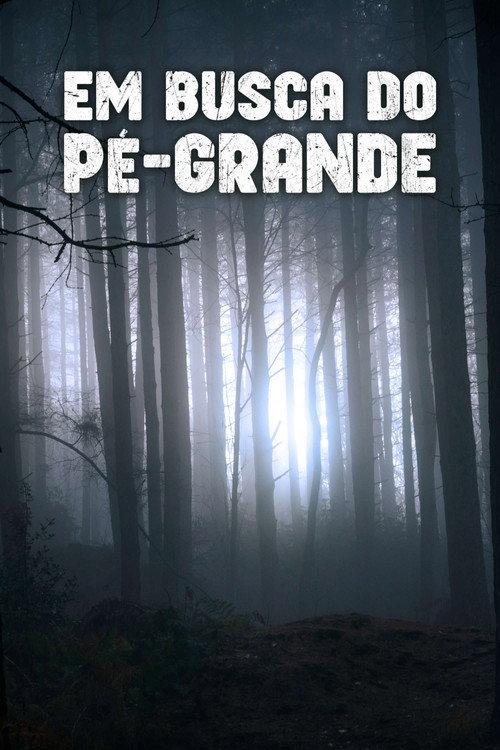 Em Busca do Pé-grande (2011)