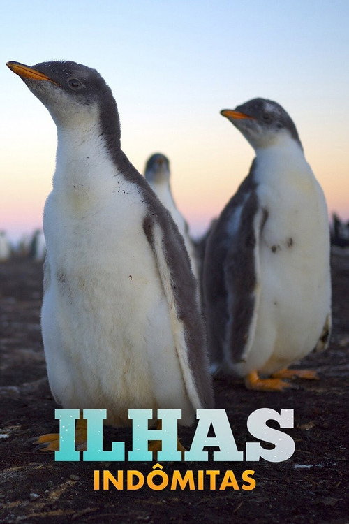 Ilhas Indômitas (2012)