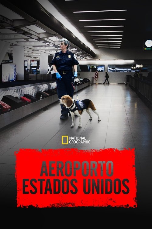 Aeroporto: Estados Unidos (2020)