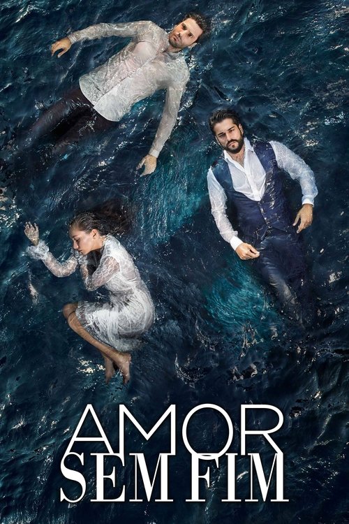 Amor Sem Fim (2015)