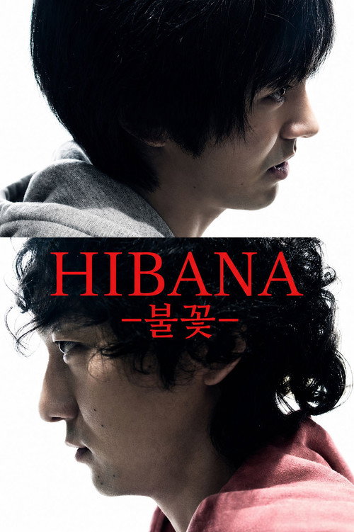 Hibana: Spark (2016)